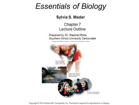 Essentials of Biology Sylvia S. Mader