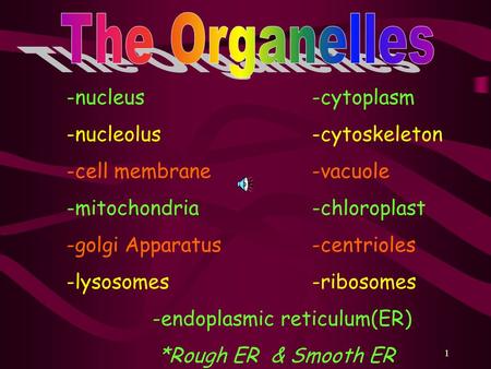 The Organelles -nucleus -cytoplasm -nucleolus -cytoskeleton