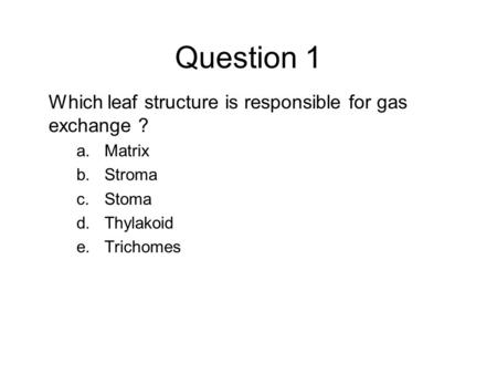 Question 1 Which leaf structure is responsible for gas exchange ?