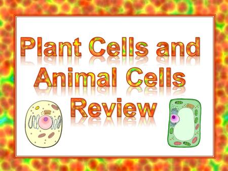 cell membrane cell wall cytoplasm chloroplast vacuole mitochondria nucleus Plant Cell Animal Cell.