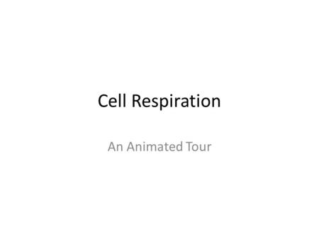 Cell Respiration An Animated Tour. Glycolysis If NO O 2 Glucose Mitochondria Cytoplasm.