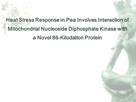 1 Heat Stress Response in Pea Involves Interaction of Mitochondrial Nucleoside Diphosphate Kinase with a Novel 86-Kilodalton Protein.