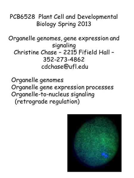 Organelle genomes Organelle gene expression processes Organelle-to-nucleus signaling (retrograde regulation) PCB6528 Plant Cell and Developmental Biology.