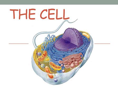 The Cell.