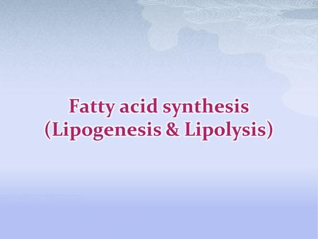  It can be divided into 3 processes: 1)Biosynthesis of glycerol. 2)Biosynthesis of fatty acids. 3)Biosynthesis of the triacylglycerol.  It occurs in.