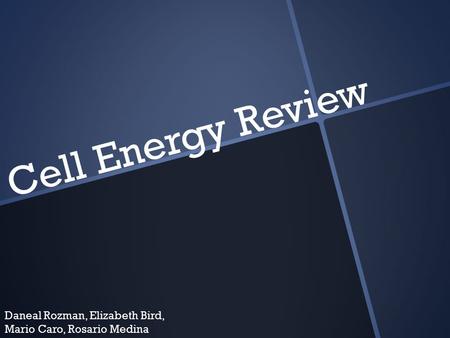 Cell Energy Review Daneal Rozman, Elizabeth Bird, Mario Caro, Rosario Medina.