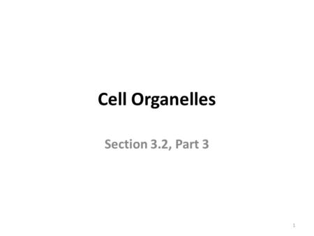 Cell Organelles Section 3.2, Part 3.