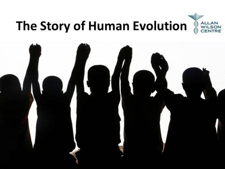 The Story of Human Evolution