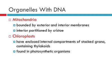 Organelles With DNA Mitochondria Chloroplasts