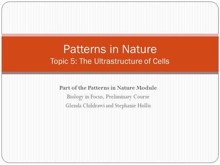 Part of the Patterns in Nature Module Biology in Focus, Preliminary Course Glenda Childrawi and Stephanie Hollis Patterns in Nature Topic 5: The Ultrastructure.