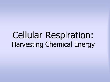 Cellular Respiration: Harvesting Chemical Energy