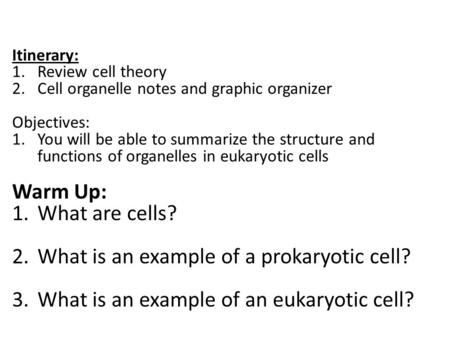 Itinerary: 1.Review cell theory 2.Cell organelle notes and graphic organizer Objectives: 1.You will be able to summarize the structure and functions of.