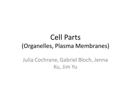 Cell Parts (Organelles, Plasma Membranes) Julia Cochrane, Gabriel Bloch, Jenna Ku, Jim Yu.