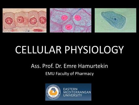 CELLULAR PHYSIOLOGY Ass. Prof. Dr. Emre Hamurtekin EMU Faculty of Pharmacy.