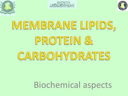 Biochemical aspects. Learning objectives At the end of lecture student should be able to Describe the structure of cell membrane Explain molecular basis.