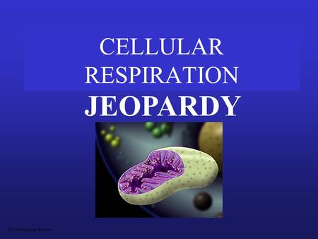 CELLULAR RESPIRATION JEOPARDY S2C06 Jeopardy Review.