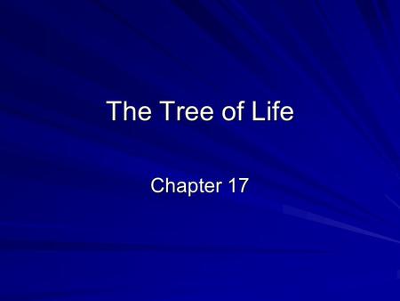 The Tree of Life Chapter 17.