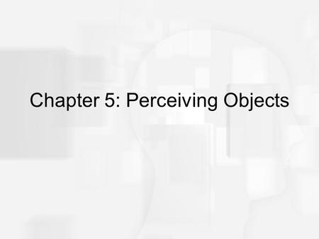 Chapter 5: Perceiving Objects