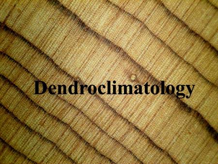 Dendroclimatology. Dendroclimatologists are interested in past climate so that the variation and trend of modern climate can be put into perspective Synoptic.