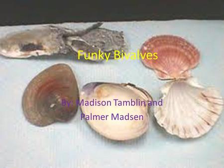 Funky Bivalves By: Madison Tamblin and Palmer Madsen.