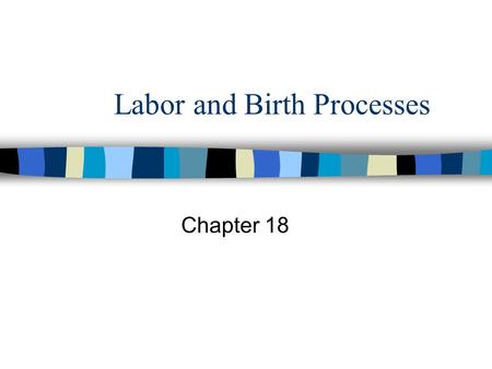 Labor and Birth Processes