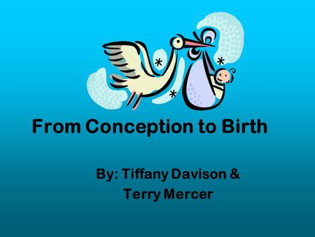 From Conception to Birth