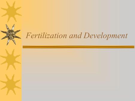 Fertilization and Development