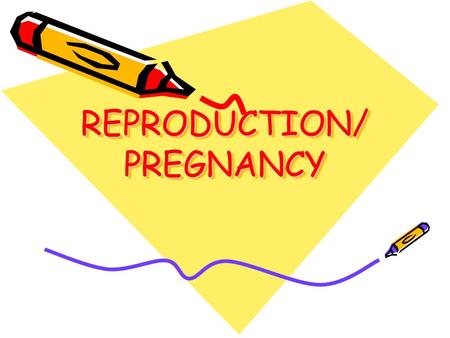 REPRODUCTION/ PREGNANCY. Fertilization The sperm fertilizes the egg: –In the fallopian tubes –1 sperm is all it takes (a chemical change prevents other.