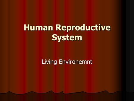 Human Reproductive System