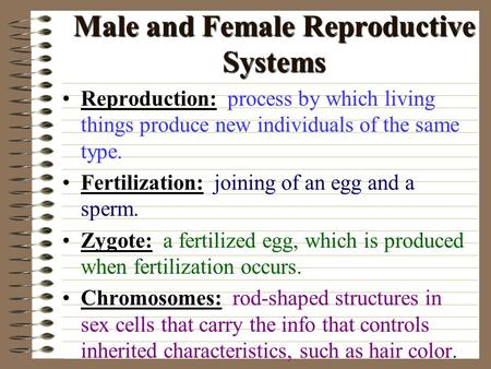 Male and Female Reproductive Systems