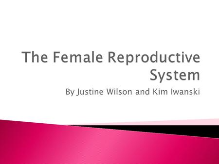 The Female Reproductive System