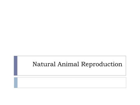 Natural Animal Reproduction