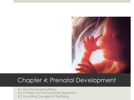 Chapter 4: Prenatal Development