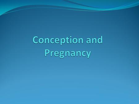 Fertilization Also referred to as conception. Union of an egg and sperm cell. Fertilization takes place in the Fallopian Tube. How many sperm cells does.