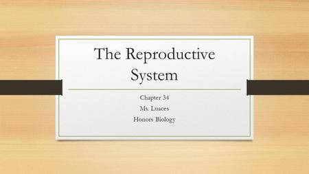 The Reproductive System