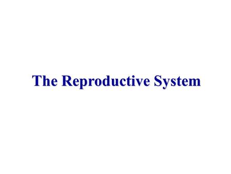 The Reproductive System