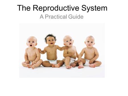 The Reproductive System