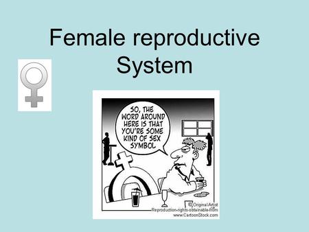 Female reproductive System