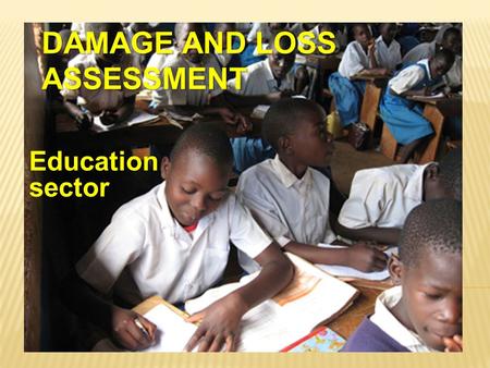 Damage and Loss Assessment