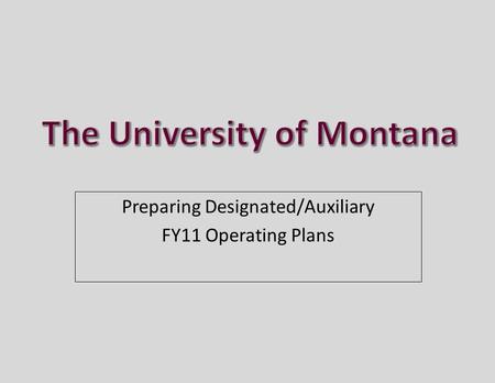 Preparing Designated/Auxiliary FY11 Operating Plans.