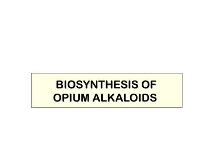 BIOSYNTHESIS OF OPIUM ALKALOIDS.