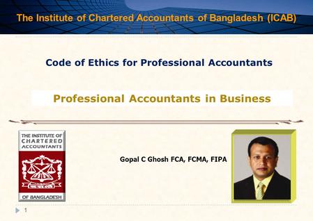 Professional Accountants in Business