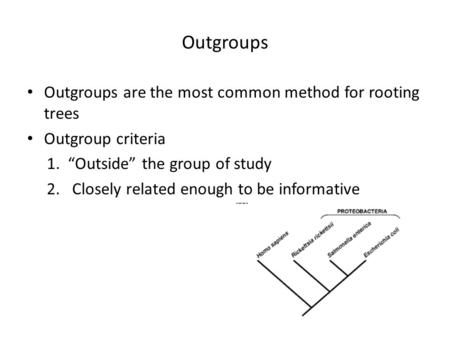 Outgroups Outgroups are the most common method for rooting trees Outgroup criteria 1. “Outside” the group of study 2.Closely related enough to be informative.