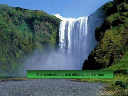 The epidemiology and etiology of diarrhea