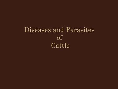 Diseases and Parasites of Cattle