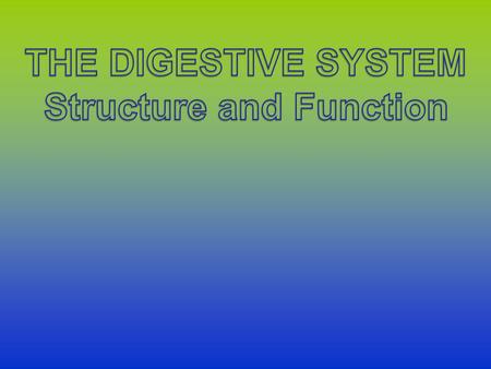 Structure and Function