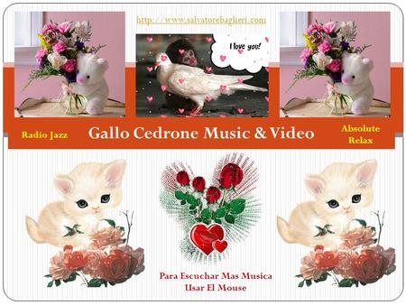 Gallo Cedrone Music & Video  Para Escuchar Mas Musica Usar El Mouse Radio Jazz Absolute Relax.