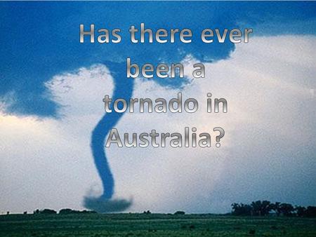 Whirly winds are like a really small tornado they go just about waist height and they have leaves in them and sometimes sand. They are not strong you.