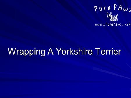 Wrapping A Yorkshire Terrier. Preparing The Wraps 1.With wax paper make sure to lay the slick side down so that it will be on the inside of the wrap when.