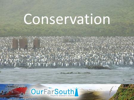 Conservation Photo by Judith McKendry. NZ Sea Lions Photo by Ray Hoare.